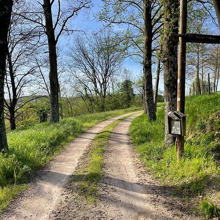 Pensjonat Agriturismo Podere Le Tombe Palaia Zewnętrze zdjęcie