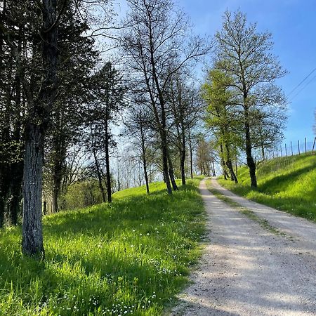 Pensjonat Agriturismo Podere Le Tombe Palaia Zewnętrze zdjęcie