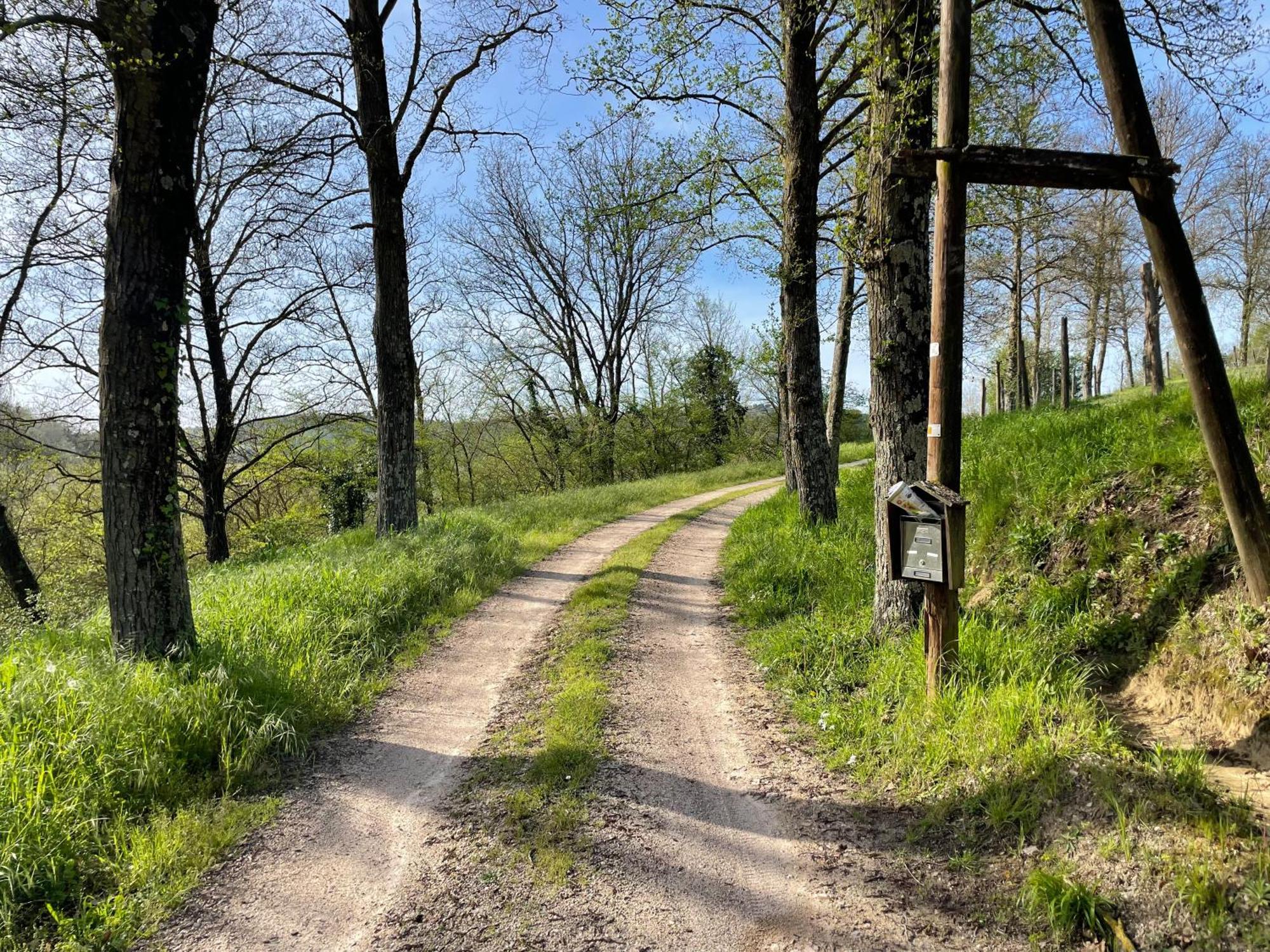 Pensjonat Agriturismo Podere Le Tombe Palaia Zewnętrze zdjęcie