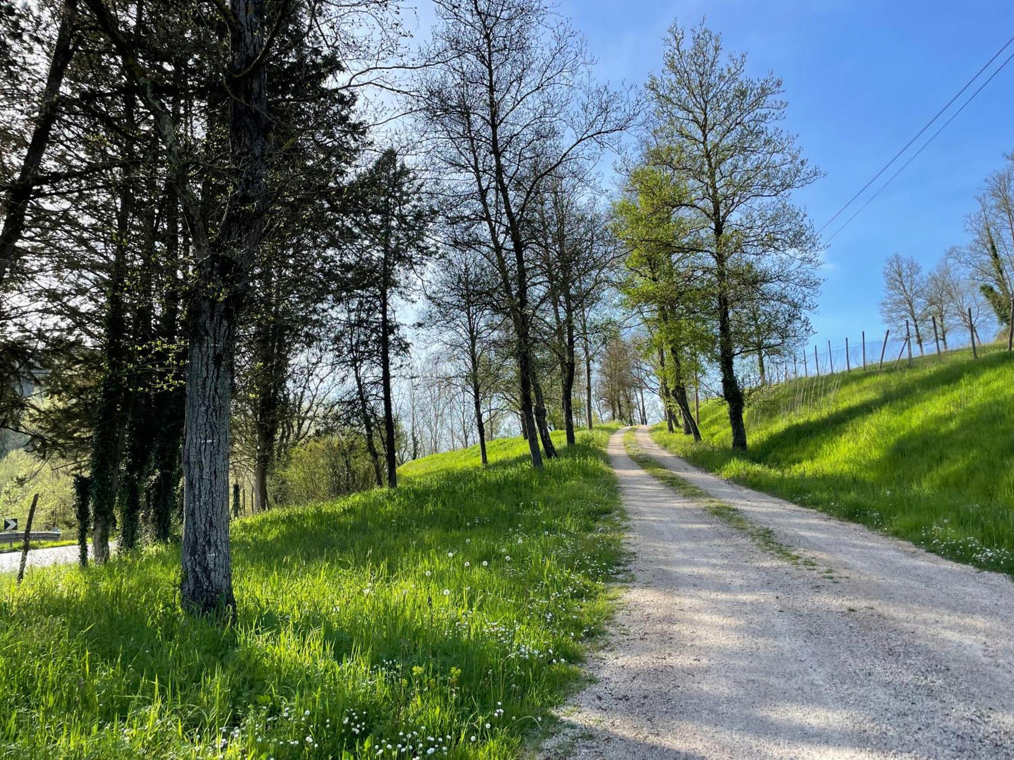 Pensjonat Agriturismo Podere Le Tombe Palaia Zewnętrze zdjęcie