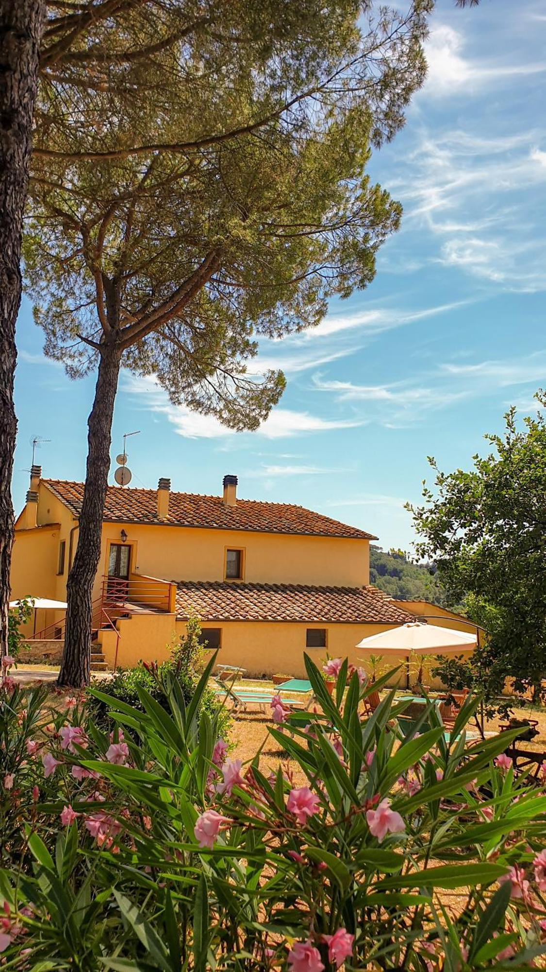 Pensjonat Agriturismo Podere Le Tombe Palaia Pokój zdjęcie